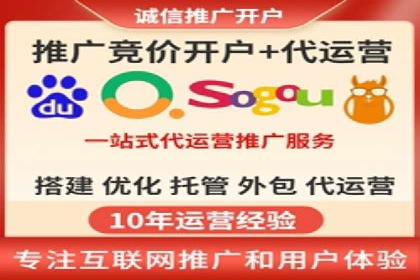 谷歌竞价广告与SEO结合的营销案例解析